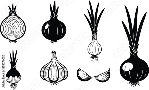 Line art close up onion and garlic bulbs arranged in a row with two cloves visible vintage engraving style black and white kitchen illustration label design