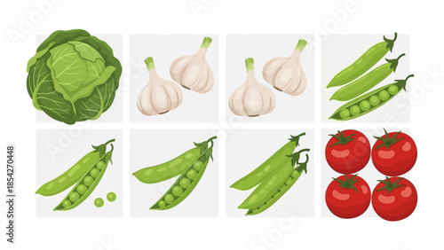 Fresh Garden Vegetables A Colorful and Healthy Collection of Cabbage, Garlic, Peas, and Tomatoes