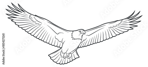 An eagle soaring with outstretched wings in outline vector style, perfect for wildlife-themed designs and illustrations