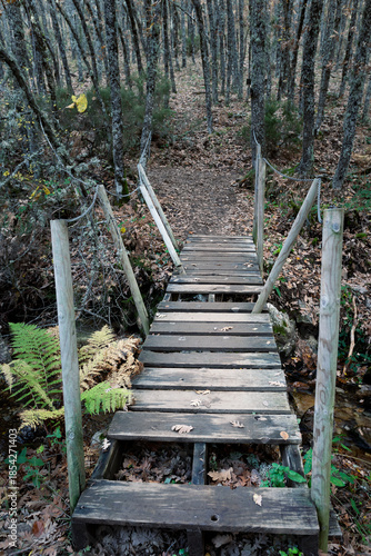 Puente de madera sobre el arroyo