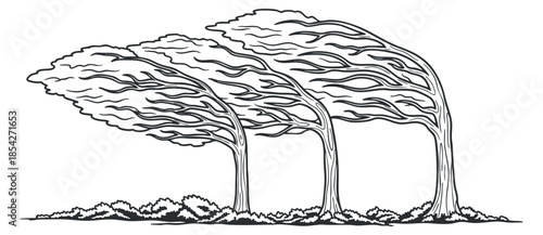 A set of three trees bending in the wind in black outline minimalist vector style, ideal for nature-themed designs