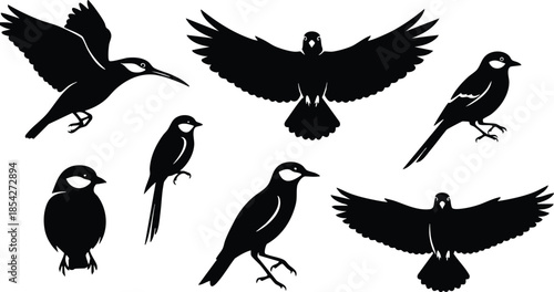 Silhouette vector set of eight black birds in flying perched and side view poses spread wings close up for stencil logo and pattern design branding decoration