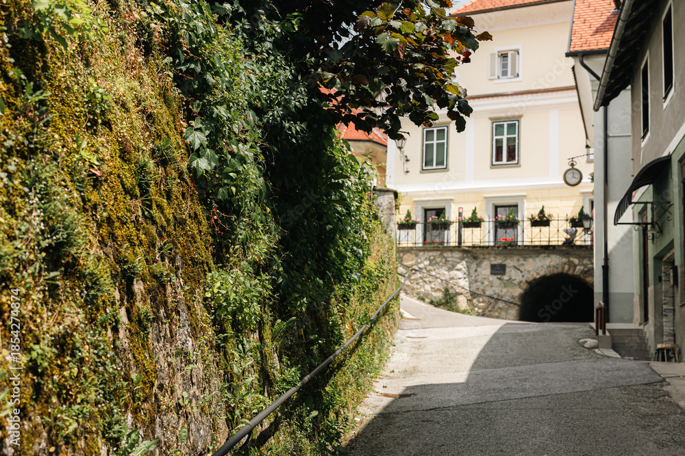 Fototapeta premium A cobblestone path winds upward beside a moss-covered stone wall draped in lush ivy. In the background, a sunny town square features a classic cream-colored building with a distinctive hanging clock.
