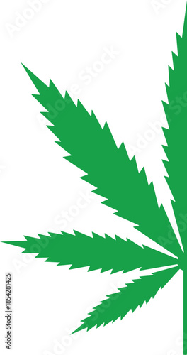 Green cannabis leaf side view vector illustration, marijuana hemp plant foliage half element, herbal medicine and weed culture botanical graphic for natural wellness and pharmaceutical designs.