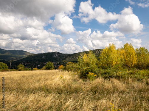 Obraz na plátne autumn trees and grass field in buda hills