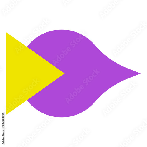 TRIANGLE SHAPE BULLET POINT