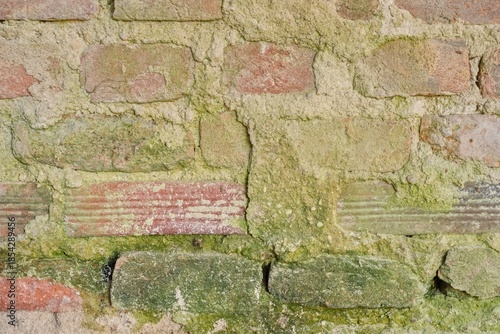 Old Brick Wall with Moss and Weathering