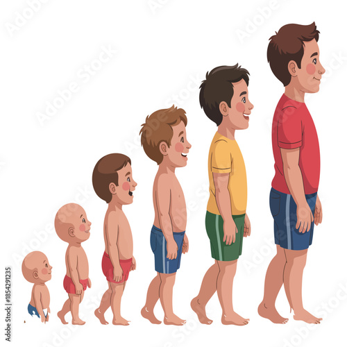 Growth stages of boy from infant to young man depicting different ages and heights illustrating human development over time against clean white background