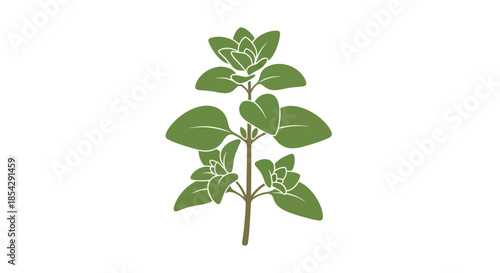 A simple illustration of a green plant stem with multiple leaves