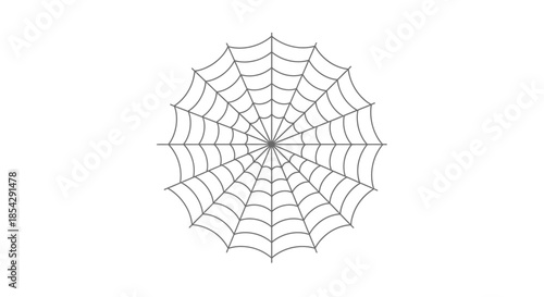 A detailed illustration of a classic spiderweb with symmetrical lines