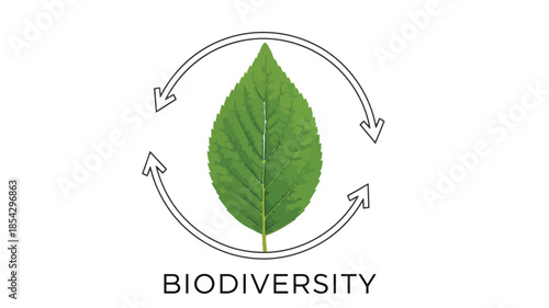 A green leaf enclosed in a circular recycling symbol with the word biodiversity