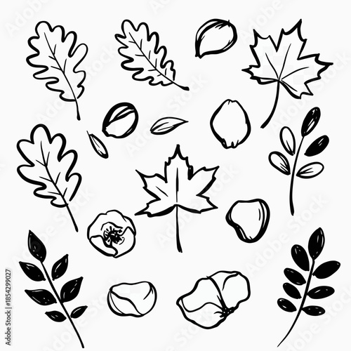 A versatile collection of simple hand-drawn autumnal leaves and delicate floral petals, rendered in black ink as a useful graphic vector art element for design projects