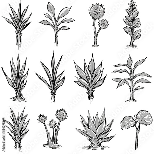 Charming vector collection of hand-drawn botanical illustrations, featuring diverse plant species in a unique doodle sketch style, perfect for natural and organic design themes