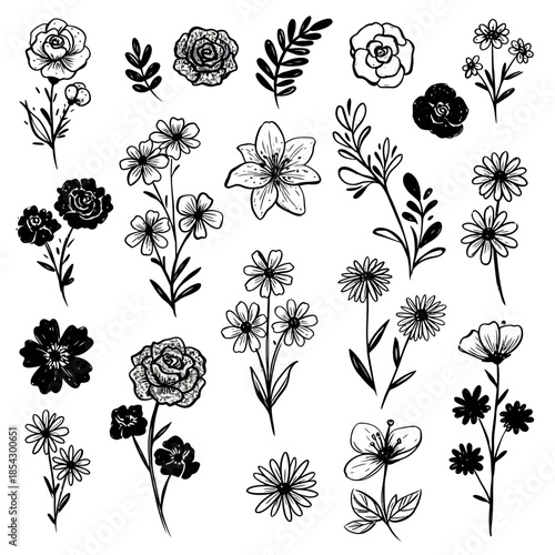 An exquisite vector collection featuring a diverse array of simple hand-drawn floral elements, perfect for crafting elegant botanical designs and artistic projects