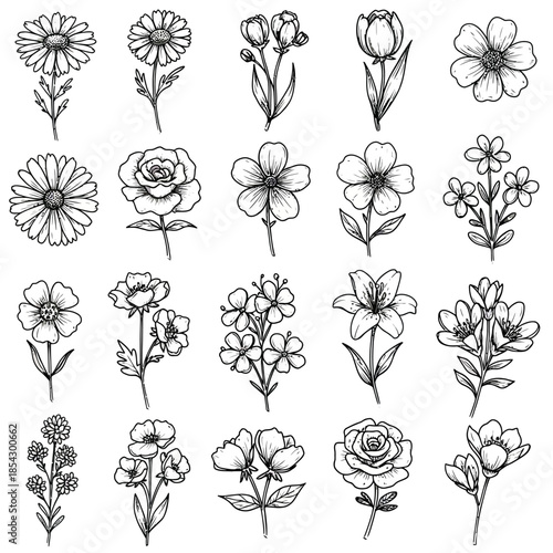 A charming vector collection of twenty unique, simple hand-drawn floral illustrations, perfect for decorative designs and natural aesthetics
