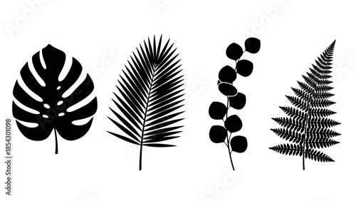 Black silhouettes of tropical leaves and fern fronds against a white background minimalist