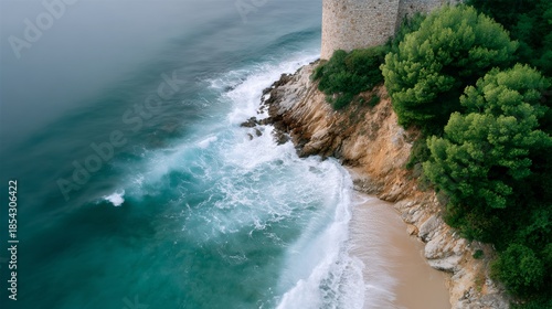 beach with a rocky cliff and a green tree