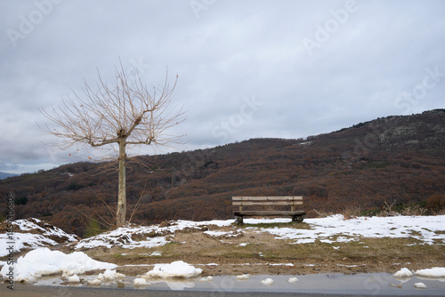 Wallpaper Mural bench in cold winter landscape Torontodigital.ca