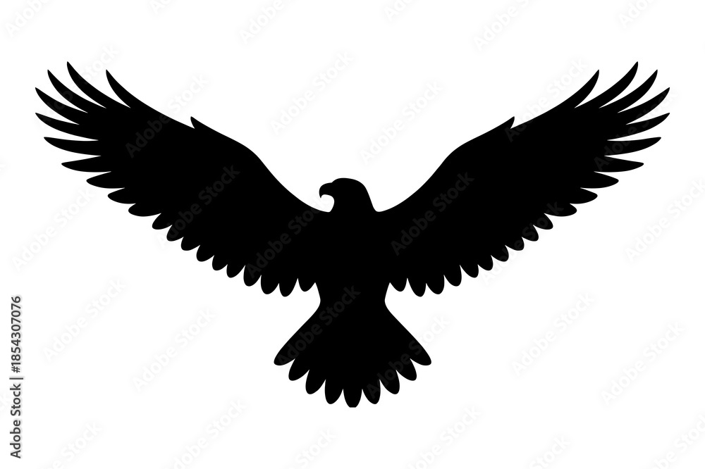 Fototapeta premium Silhouette of a majestic soaring eagle with widespread wings showing power and freedom