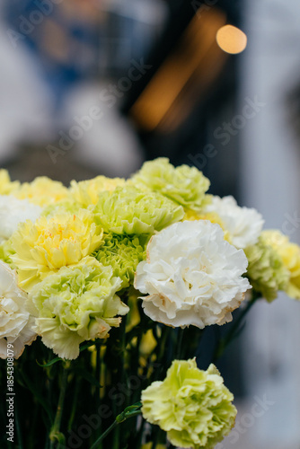 Soft pastel carnations in white, yellow, and green tones with a blurred bokeh background. Elegant floral composition perfect for themes of beauty, romance, celebration, and nature.