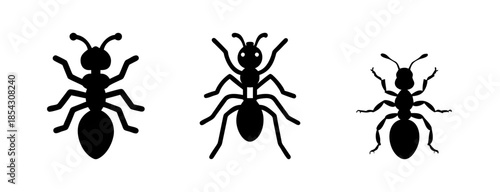 Three ant silhouettes vector illustration for pest control and insect identification design needs