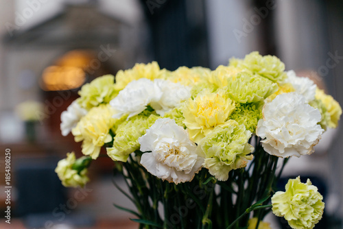Soft pastel carnations in white, yellow, and green tones with a blurred bokeh background. Elegant floral composition perfect for themes of beauty, romance, celebration, and nature.