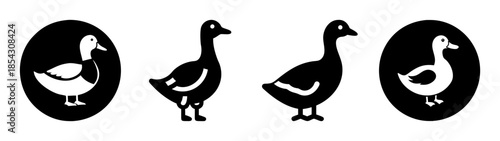 Black and white duck goose silhouette vector illustration waterfowl bird graphic design clip art image