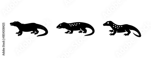 Discover amazing silhouettes of prehistoric reptiles and extinct dinosaurs vector graphics art