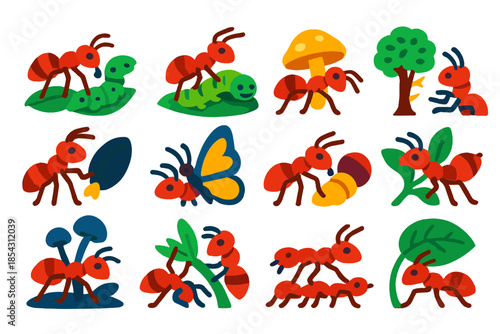 Symbiotic Ant Icons. Flat vector icons of symbiosis with ants: ant and aphid, ant protecting caterpillar, ant with fungus, ant and