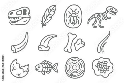 Extinct Species Icons. Line style icons of extinct species remains: fossil skull, preserved feather, amber insect, skeleton; tusk,