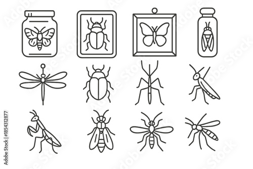 Insect Preservation Icons. Line style icons of preserved insects: moth in jar, beetle case, butterfly frame, cicada in vial;