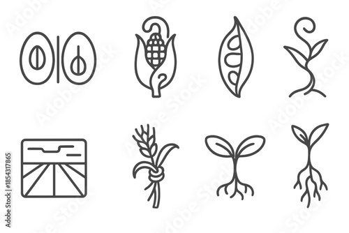 Paradoxical Crop Icons. Line style icons of paradoxical crop elements: mirrored seed, logical husk, broken pod, twisting stalk,