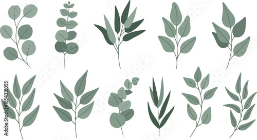 Collection of Elegant Green Leafy Branches Botanical Illustrations for Design Projects