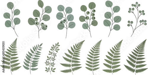 Elegant botanical illustrations Vector set of diverse leafy branches, perfect for design needs