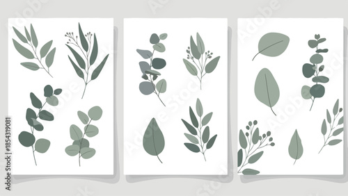 Botanical Leaf Illustration Set Elegant and Modern Greenery Designs for Various Applications