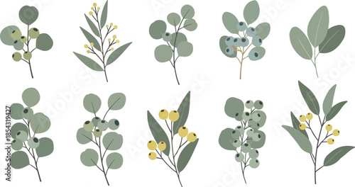 Botanical Elements A Set of Hand-Drawn Floral Illustrations, Perfect for Design Projects and Decor