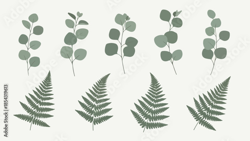 Elegant Botanical Arrangement Delicate Ferns and Eucalyptus Leaves on a Soft Background
