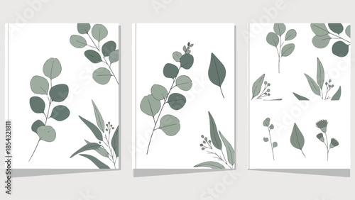 Elegant botanical illustrations of eucalyptus leaves and branches, perfect for design projects and art