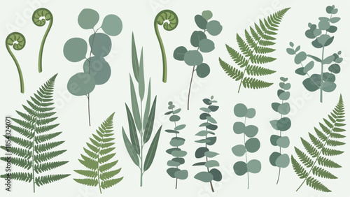 Botanical Collection A Diverse Array of Green Foliage, Including Ferns and Eucalyptus Elements