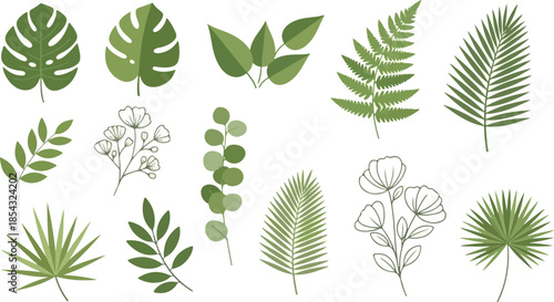 Collection of green botanical leaves and floral elements, perfect for design and decoration purposes