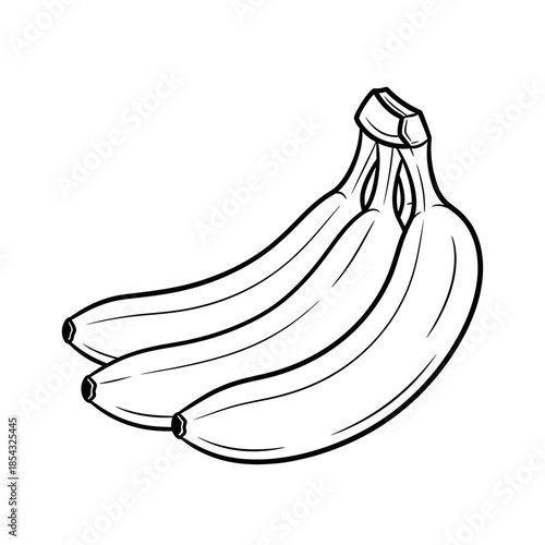 Outline drawing of a bunch of three fresh bananas