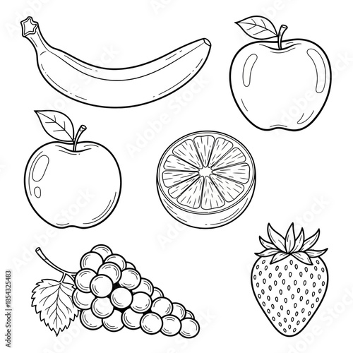 Outline drawings of various fresh fruits on a white background