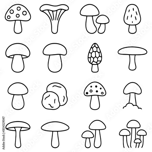 Mushroom Variety: An illustrative display of diverse mushroom specimens, meticulously outlined and showcasing a variety of shapes and sizes. 