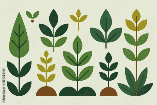 Stylized Green Plants and Botanical Illustrations on a Light Beige Background