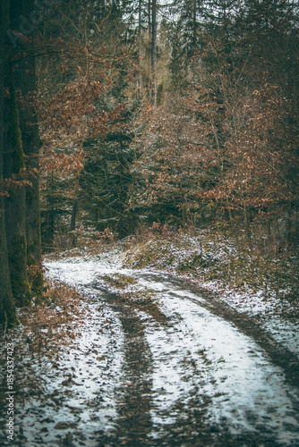 Snowy Forest Path in Late Autumn