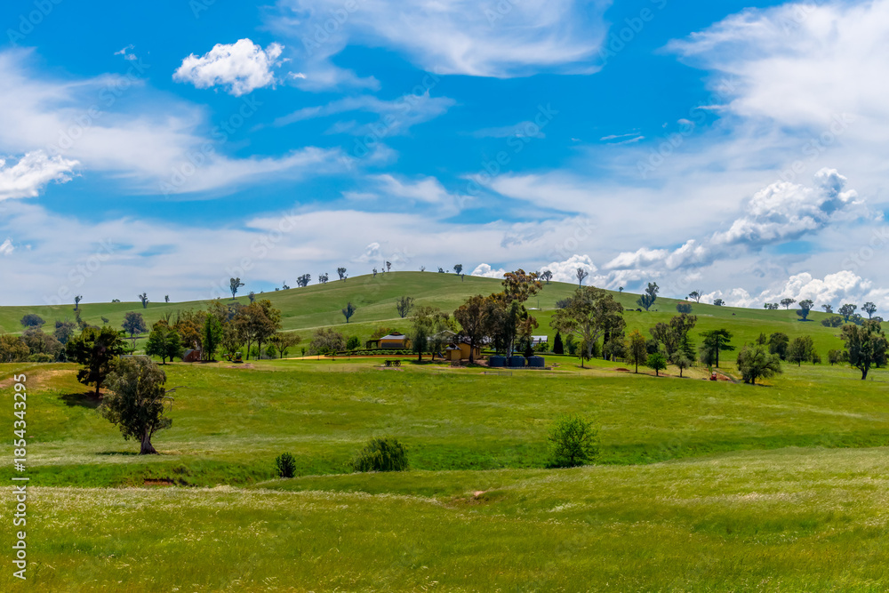 Fototapeta premium Fields and pastures around the Cowra region in Spring