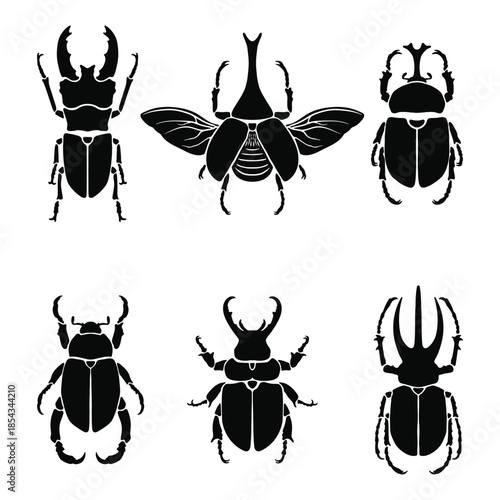 Diverse set of beetle insect species silhouette illustrations