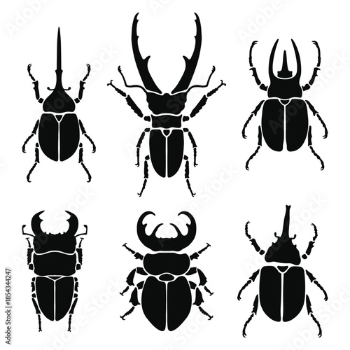 Black Beetle Silhouettes Set on White Background