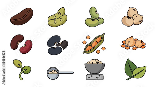 A collection of various legumes and beans, including kidney beans, black beans, chickpeas, lentils, and edamame, depicted as seeds, pods, and sprouts.