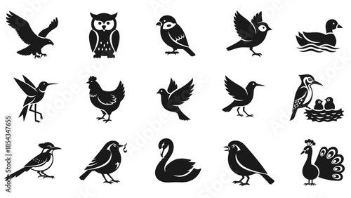 A collection of various bird silhouettes including an eagle, owl, duck, hummingbird, chicken, dove, swan, and peacock, depicted in black against a white background.